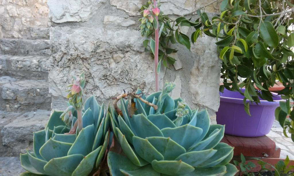 Porto Poros Apartment Mikros Gialos Luaran gambar